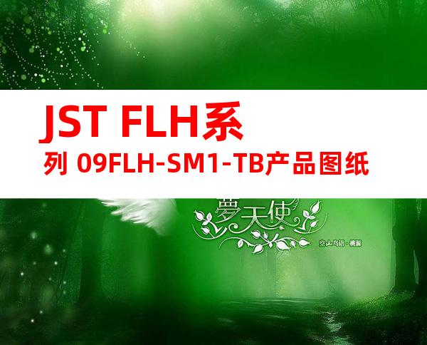 JST FLH系列 09FLH-SM1-TB产品图纸